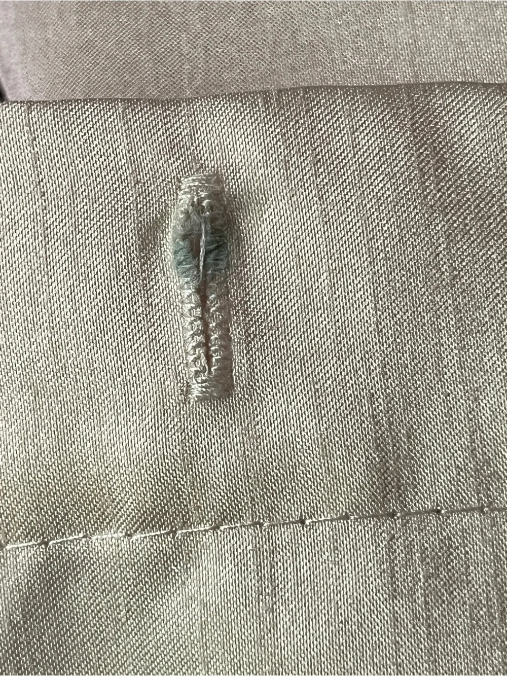 Avanti Wildbird Shower Curtain & Matching Rug